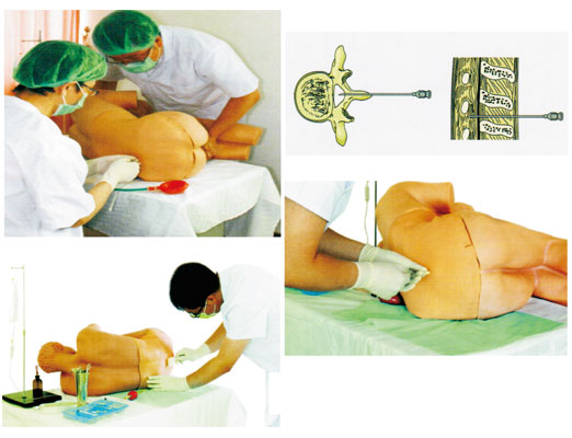 知能醫學腰椎穿刺仿真模擬人怎么用？