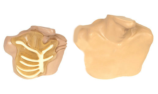 中心靜脈穿刺模型