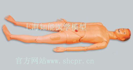 基礎護理人模型到底有哪些功能？