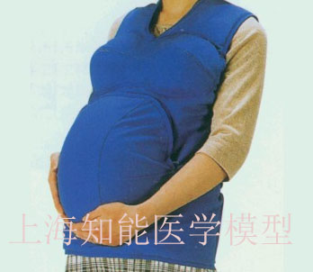高級著裝式孕婦模型哪家好？