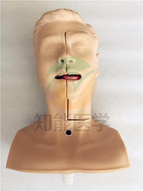 高級吸痰練習模型 BIX-H85 高級吸痰練習模型 BIX-H85