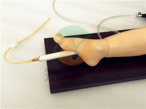 骨穿刺及股靜脈穿刺模型圖 骨穿刺及股靜脈穿刺模型圖