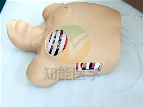 胸腔穿刺引流模型實拍圖2