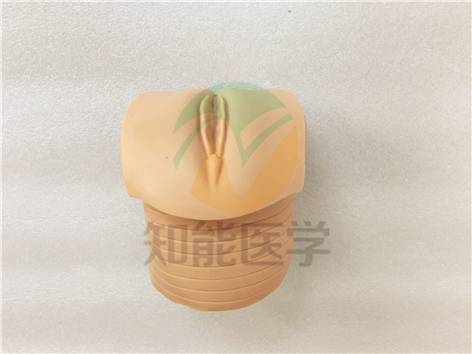 實拍圖2 實拍圖2