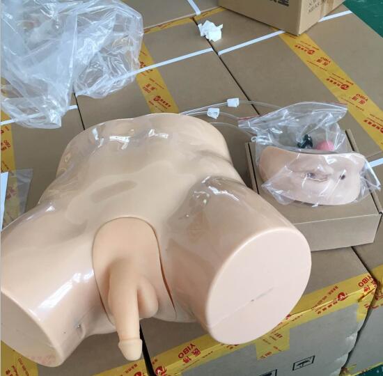 新型電子導(dǎo)尿及灌腸教學模型使用方法