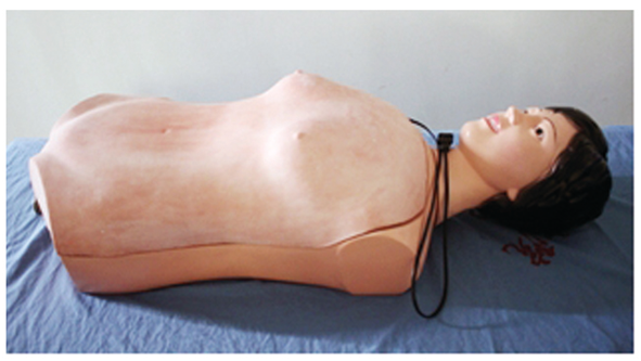 知能醫學模型肝脾觸診電動模型 BIX-A2113 知能醫學模型肝脾觸診電動模型 BIX-A2113