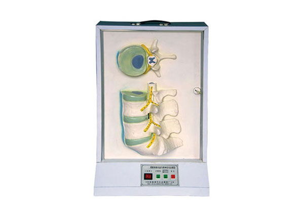 腰骶椎、椎間盤和脊神經(jīng)電動模型產(chǎn)品功能測試報(bào)告