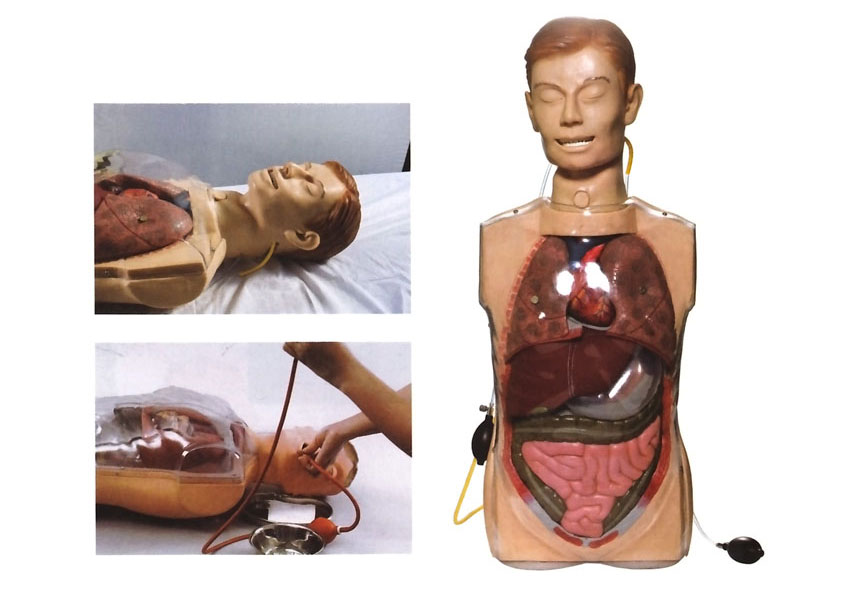 透明洗胃模型的作用