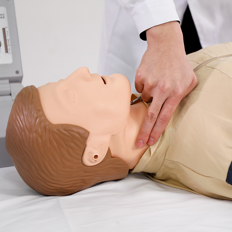 心肺復蘇模擬人 心肺復蘇模擬人